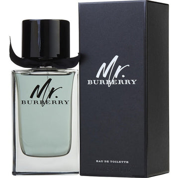 BURBERRY MR BURBERRY CABALLERO EAU DE TOILETTE 100ML